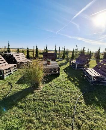 1000002498002db2dd0110065910