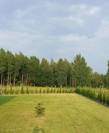 1000002661070dadf50110065910