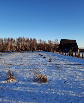 10000045926e44c3f20110070159