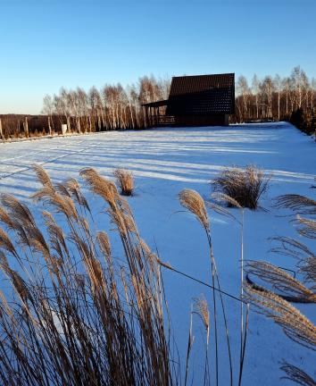 10000045959d0d07110110070208