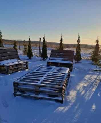 10000046018866a54d0110070159